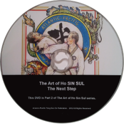 (S) DVD - The Art of Ho Sin Sul 2 - The Next Step