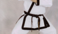 big_steve.png