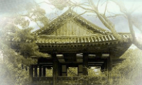 New School image